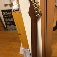 YAMAHA APX-10TSの画像