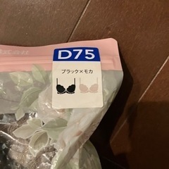 トリンプD75の画像