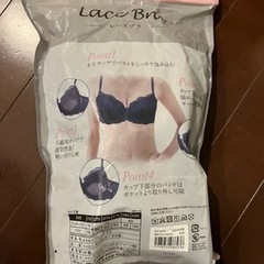 トリンプD75の画像