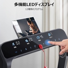 【受け取りに来てくださる方限定】FLYLINKTECH ルームラ...