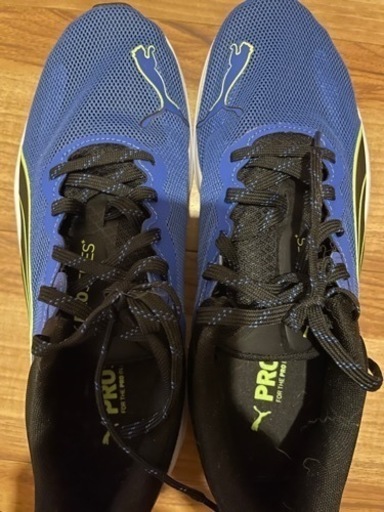 PUMA 26.5㎝スニーカー青　(お得！100m試し履きのみ美品)