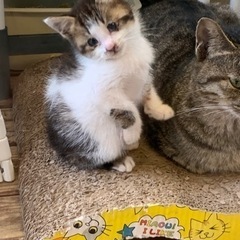 9/21生まれの男の子　