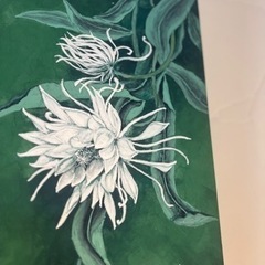 日本画、デッサン、水彩画、油絵教室　募集中