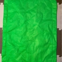 はらぺこあおむし　プレイマットの画像