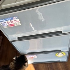 衣装ケースの画像