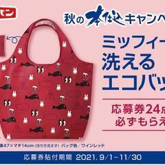 ⑫ミッフィー洗えるエコバッグ