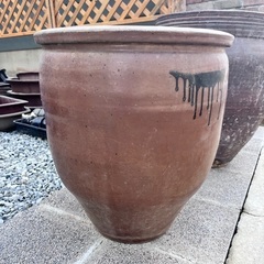 植物鉢