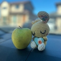 りんご🍎 王琳