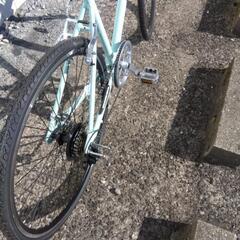 【丸石サイクル】　バルボアスィンコ　450㎜サイズ　7段変速　未使用車※こちらは事前に連絡をお願いします。の画像