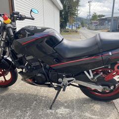 GPX250R ネイキッド仕様　の画像