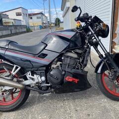 GPX250R ネイキッド仕様　の画像