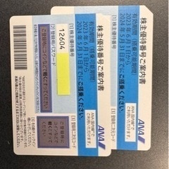 ANA株主優待券