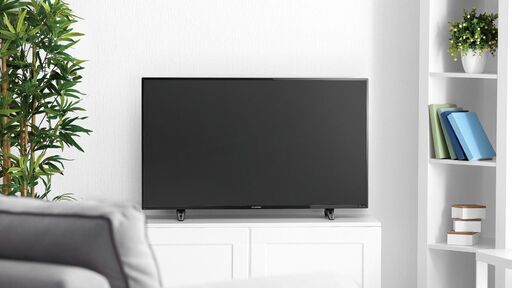 50インチ〈4K対応〉 地上・BS・110度CSデジタルハイビジョン液晶テレビ  FL-50U3010