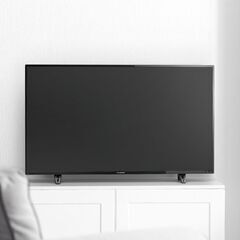 50インチ〈4K対応〉 地上・BS・110度CSデジタルハイビジョン液晶テレビ  FL-50U3010