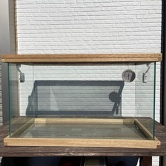 60センチ水槽　爬虫類　小動物　熱帯魚