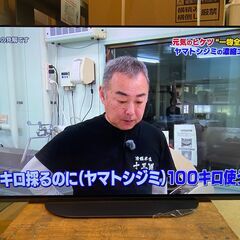 宇都宮でお買得な家電を探すなら『オトワリバース!』 4K有機EL...