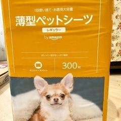 ペットシーツ300枚！の画像