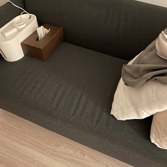 IKEAソファ　HEMLINGBY ヘムリングビーの画像