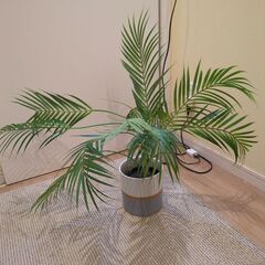 小さめのフェイクグリーン