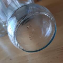 本日12/20　処分予定の画像