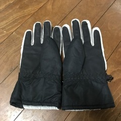 グローブの画像