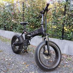 MATE X bike 750w (価格応談)