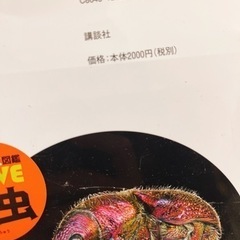 昆虫図鑑 の画像