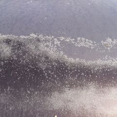 車検満タン　現場号にどですかの画像