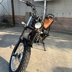 YAMAHA tw200 ロンスイ　スカチューンの画像