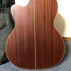 エレアコ　takamine EAN-70cの画像