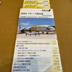 ANAの株主優待の画像