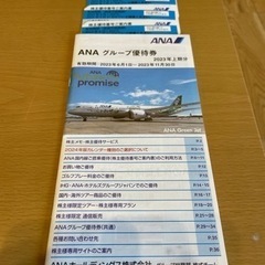 ANAの株主優待　2023年上期の画像