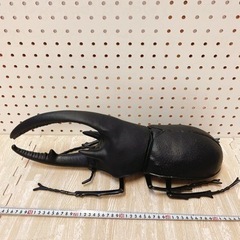   美品☆巨大 カブトムシ 
フィギュア