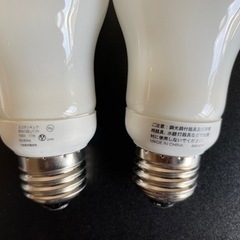 電球3つ　11/24まで！の画像