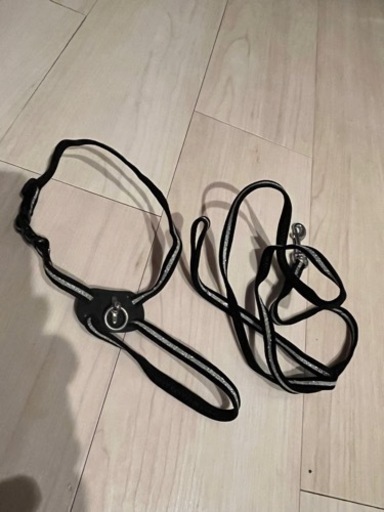 犬用リードとハーネス2本セット