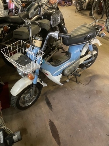 シャリー　丸目