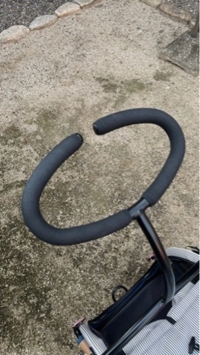 AirBuggy for Dog Twinkle