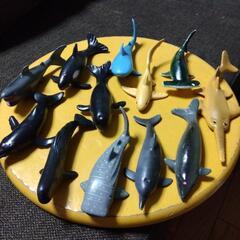海の生き物 ミニフィギュア