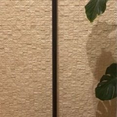 【決定】　スノーラッセルです