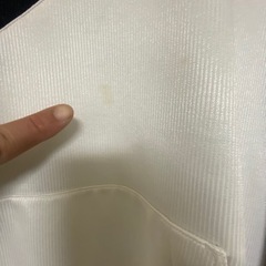 ミズノ　侍JAPANモデル　パーカーの画像