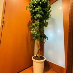 観葉植物　造花　の画像