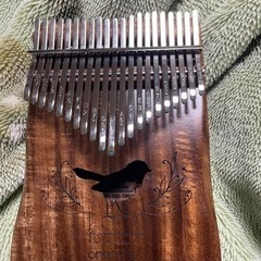 カリンバ初心者ですが一緒に練習してくれる方いますか？の画像
