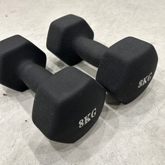 【ほぼ未使用品】ソフトダンベル８kg 2個 1/7完売
