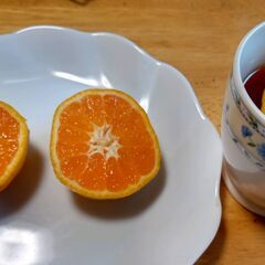 無農薬有機・青島みかん1キロ