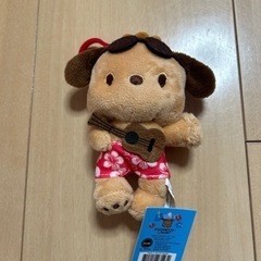 ポチャッコ　ハワイ　日焼け　サンリオキャクターズの画像