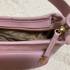 ロベルタ　デ　カメリーノ　ハンドバックの画像