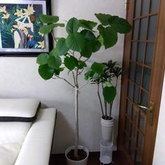 ✰ありがとうございますm(__)m決まりました❗キャンセルしない...