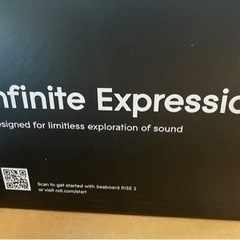 【超希少！】日本では未販売のSeaboard Rise 2！！！の画像