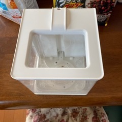 ミニ水槽