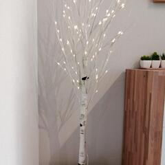 (商談中)白樺クリスマスツリー 120cm LED 防水タイプの画像